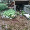 【水分神社湧水】（岩手県の湧水）花巻市轟木第１９地割　坂上田村麻呂の伝説が残る　千年以上の歴史ある・万病に効くという清水
