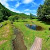 【飛駒出川湧水公園】(栃木県の湧水)佐野市飛駒町 珍しい生物が沢山生息する ウッドデッキ遊歩道が整備された親水公園